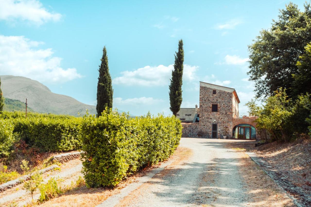 Country House Le Vigne B&B Galluccio Εξωτερικό φωτογραφία